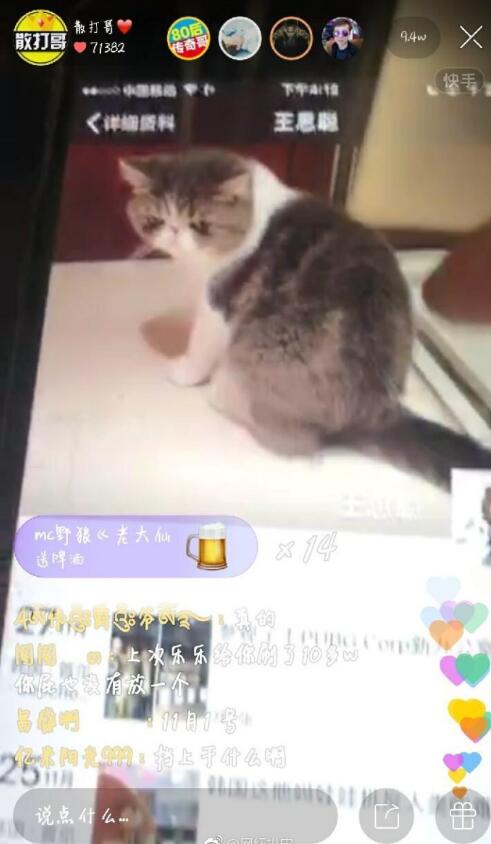 散打哥和王思聪直播,散打哥与王思聪聊天记录