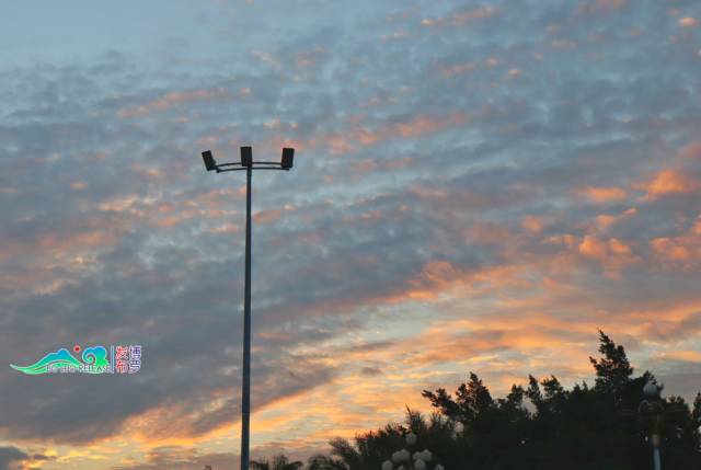 手机看着看着就蓝屏了,点开你的照片手机就死机了