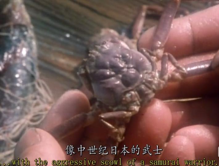 达尔文进化论对科学文明有影响吗,达尔文进化论产生什么影响