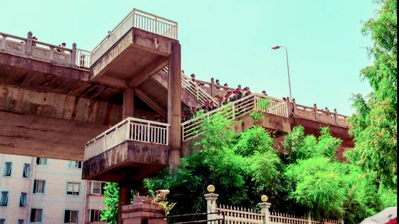 献给你，光影中的林科大