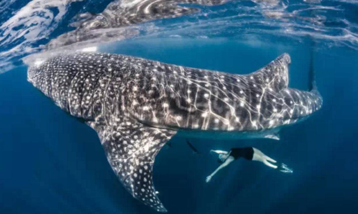 菲律宾最接近天堂的地方,菲律宾最值得去的地方