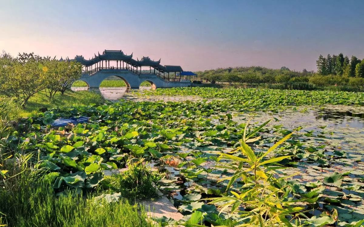 「居行」3个体育产业集聚区将落户浦东,快来看有你家附近的么→