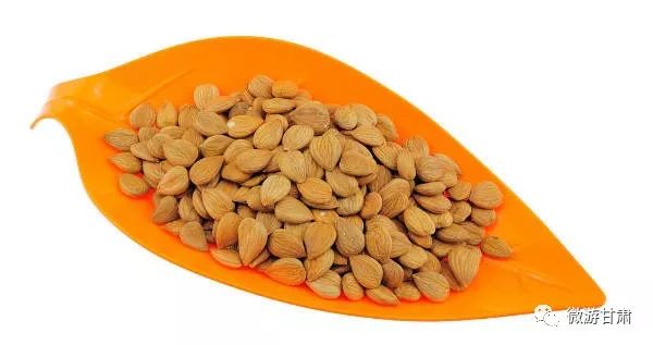 敦煌特产李广杏价格,敦煌杏子有哪些