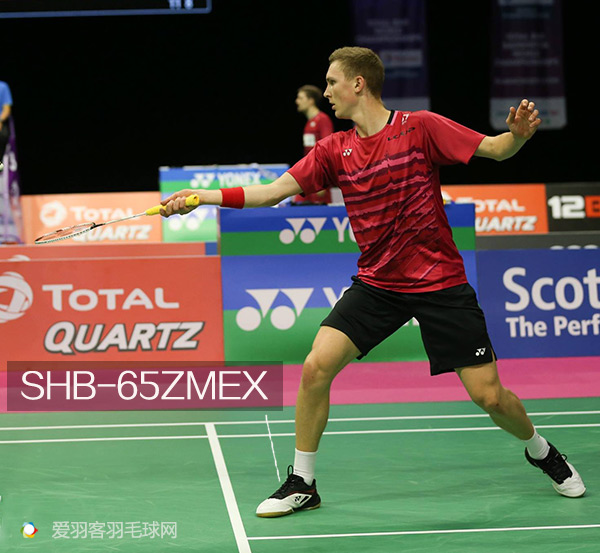 安赛龙和陶菲克,陶菲克vs安赛龙盖德完整版