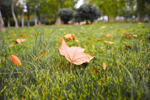 豆瓣日记碎碎念,豆瓣日记完整版