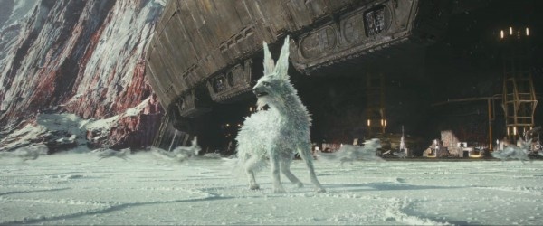 星球大战水晶狐狸图片,星球大战水晶都有哪些