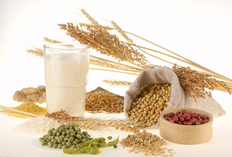 体内垃圾吃什么清理最好,吃什么食物容易排出体内代谢垃圾