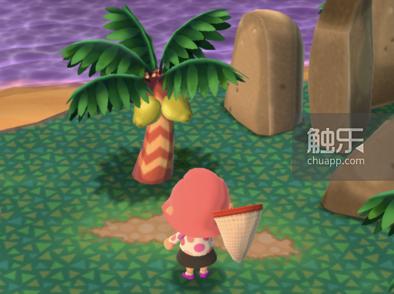 动物之森手游经验攻略最新,手游动物之森最新版本