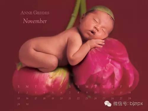 职业摄影师班主任,职业摄影班哪儿学