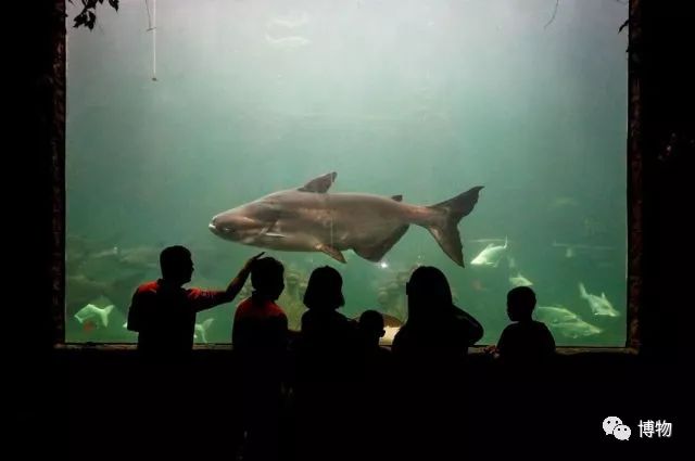 动物园哪家强,动物园排行榜