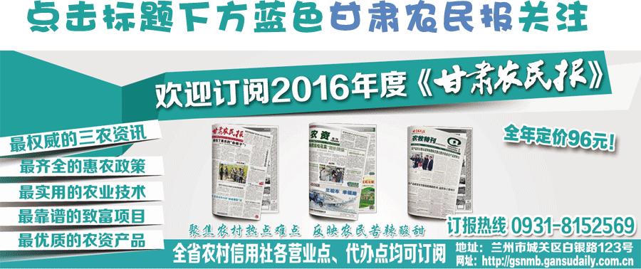 会宁电商扶贫,会宁县电商运营服务