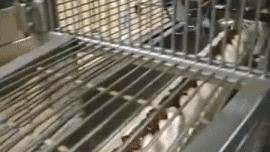 看得我好过瘾的句子,看着太爽了