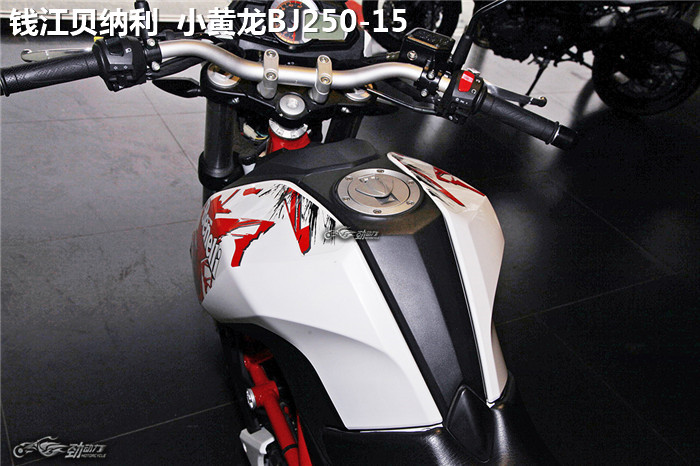 全民跑山时代的入门利器——两款250级别的合资街车