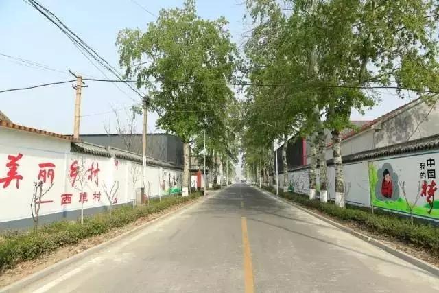 临淄:特色小镇的春天——金岭敬仲朱台齐陵