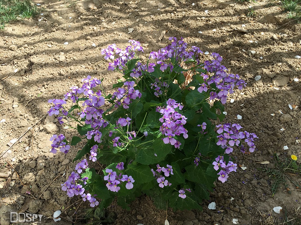 商务的外表商务的芯金立天鉴W909翻盖旗舰手机评测