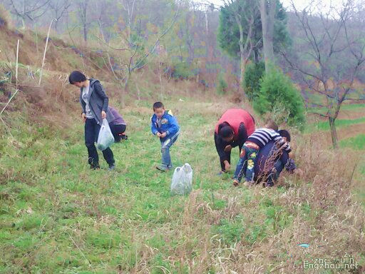 还记得，那一曲，苜蓿唱给岁月的歌