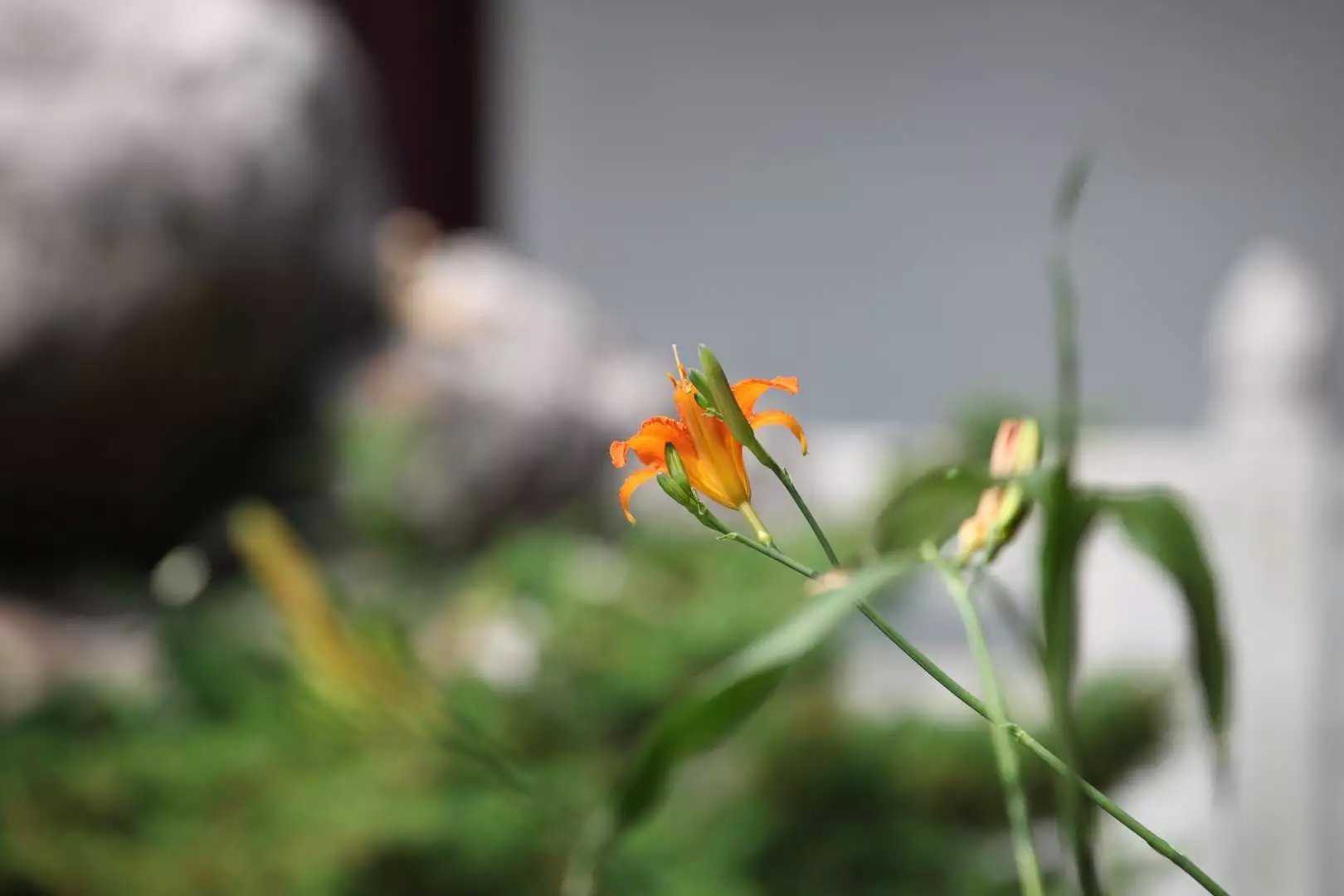 宝华山森林公园隆昌寺图片,宝华山森林公园隆昌寺