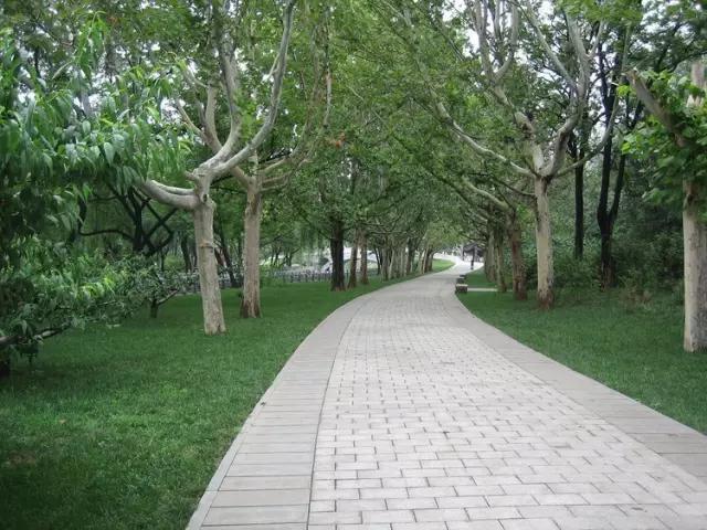 天津最值得去的公园排名榜前十,天津津南区值得游玩的公园