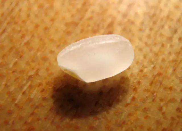 人均2元居然还能好吃到炸,南京这家小店你咋不上天呢!