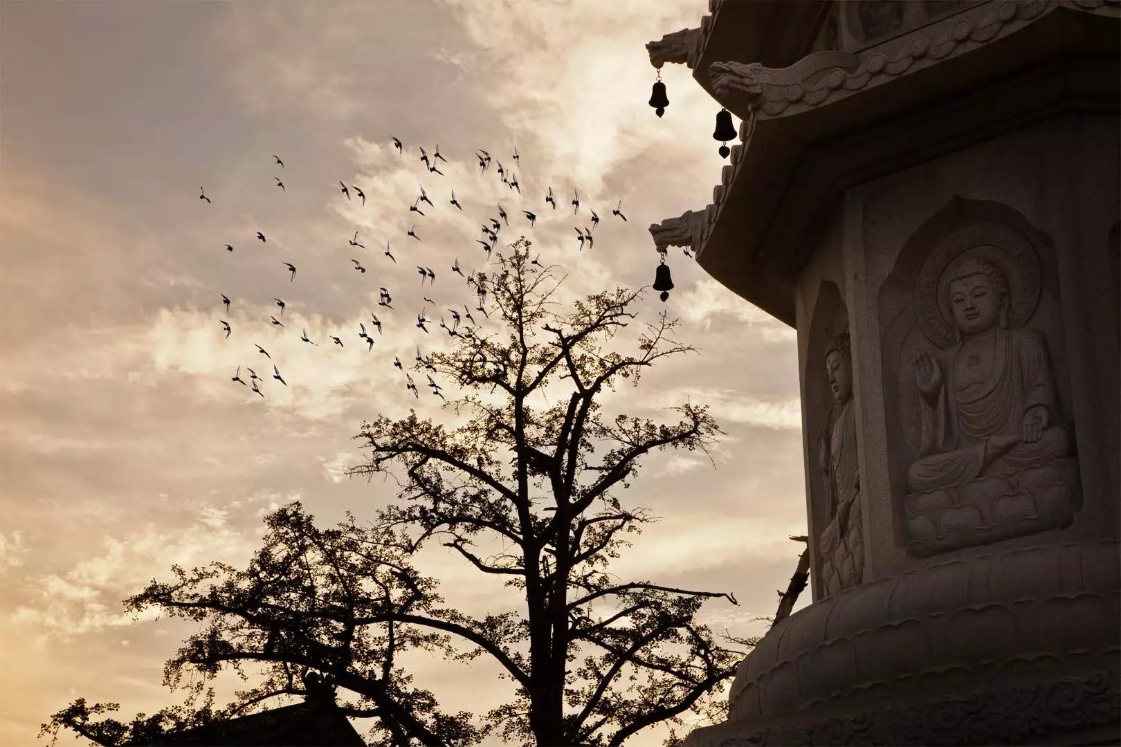 宝华山森林公园隆昌寺图片,宝华山森林公园隆昌寺