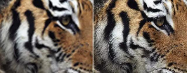 100到1万耳机对比,1百元以内最强头戴耳机