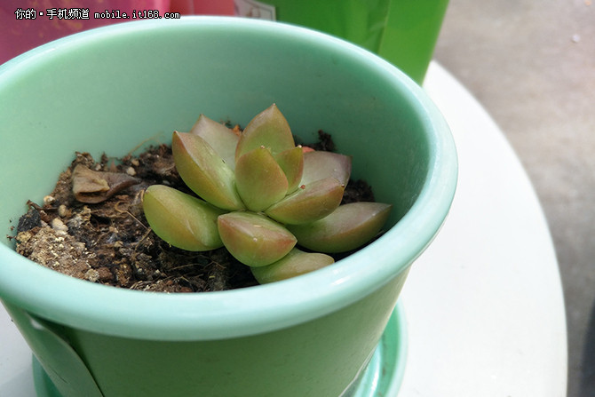 oppor9plus娓告垙娴嬭瘎,oppor9plus娴嬭瘎