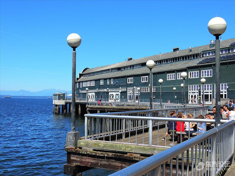 西雅图油价,西雅图油价多少钱