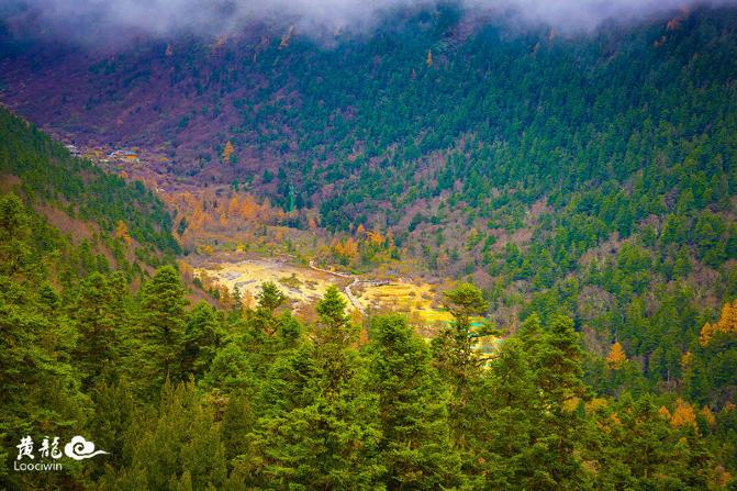 鍛宠暰娴佽繛蹇樿繑,鍛宠暰鐣欐亱