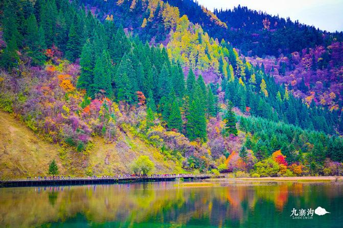 鍛宠暰娴佽繛蹇樿繑,鍛宠暰鐣欐亱