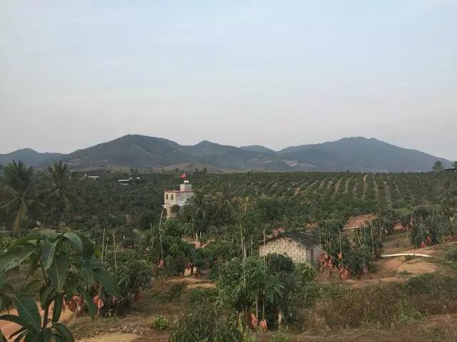 水果微商可以做什么生意,水果微商如何赚钱快