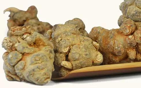 活血化瘀除湿治风湿的药,三七药酒可以活血化瘀吗