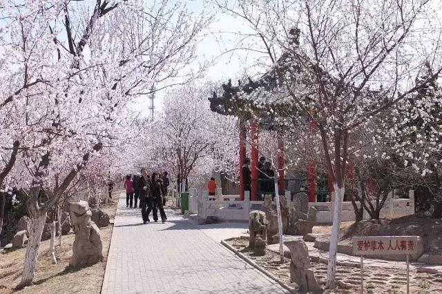 天津最值得去的公园排名榜前十,天津津南区值得游玩的公园