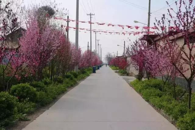 临淄:特色小镇的春天——金岭敬仲朱台齐陵