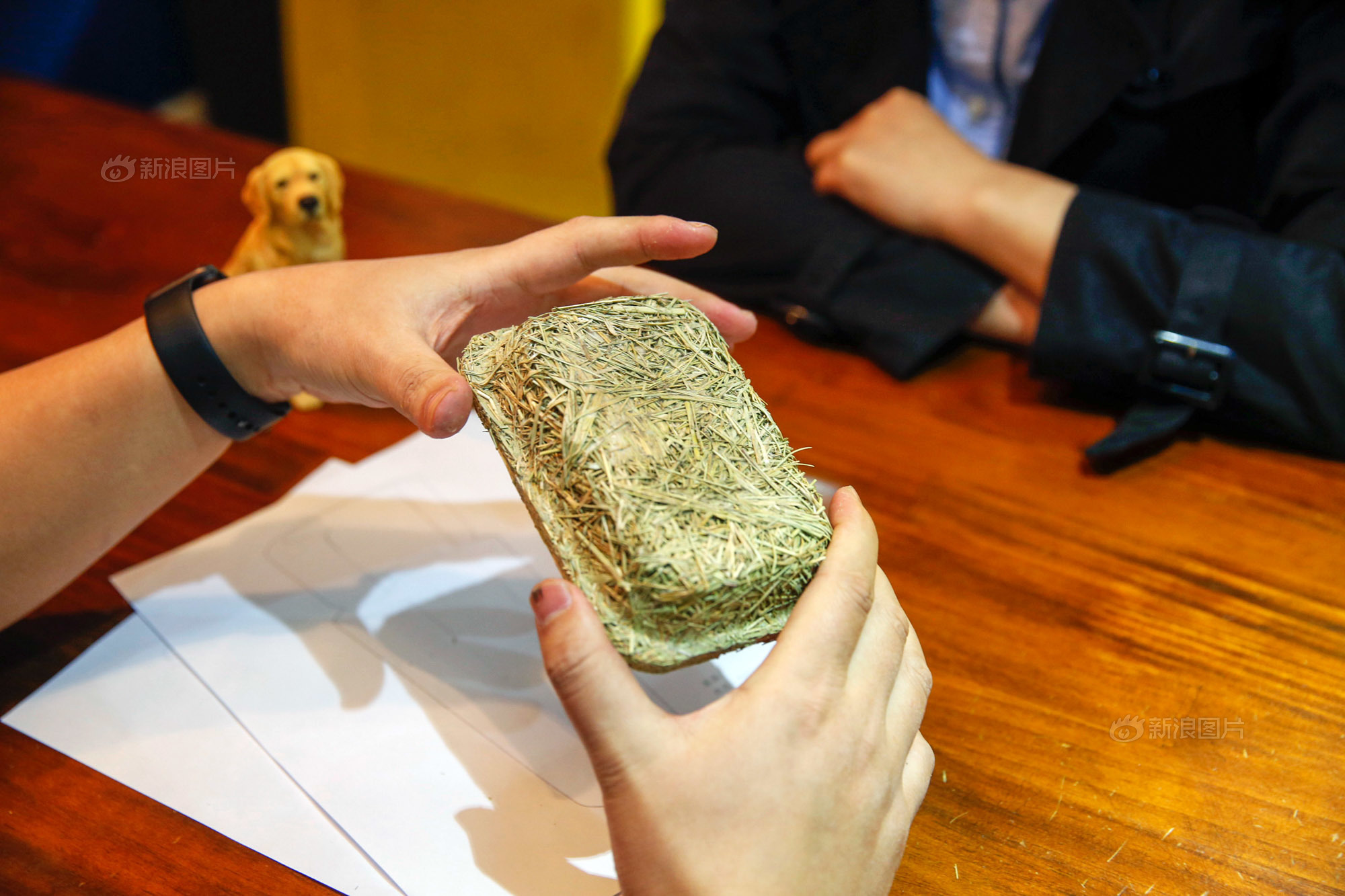 你会花1000元给宠物做殡葬吗,给宠物办葬礼你怎么看