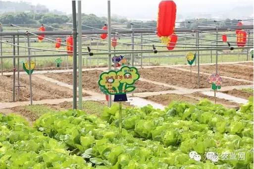 清明临近天气预报,天气预报距离五一小长假仅剩2天