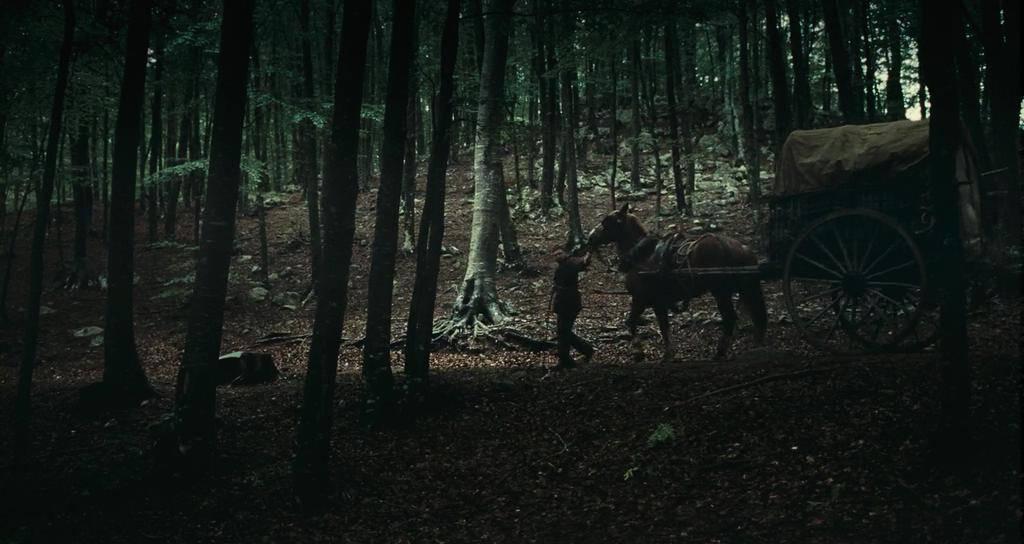 黑色面包红豆相思,黑色面包电影所有真相