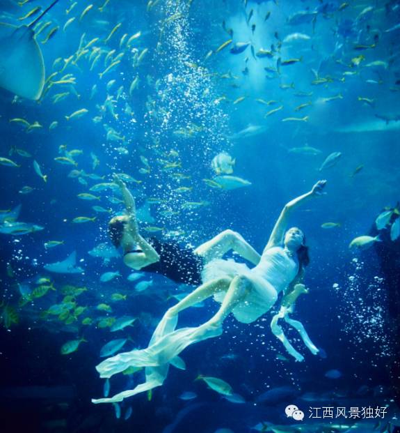 南昌万达海洋乐园在哪里,南昌万达海洋乐园主题公园