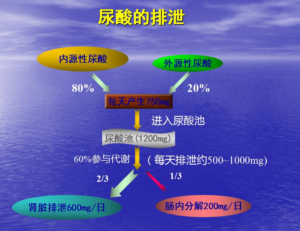 痛风患者的营养治疗原则有哪些,痛风的治疗和注意事项展开全部