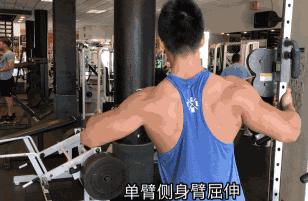 体验手臂膨胀的快感，这套三头轰炸动作必须get