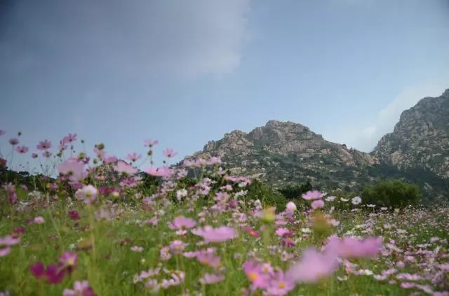 河北秋天去哪里旅游,秋天河北去哪里旅游比较好