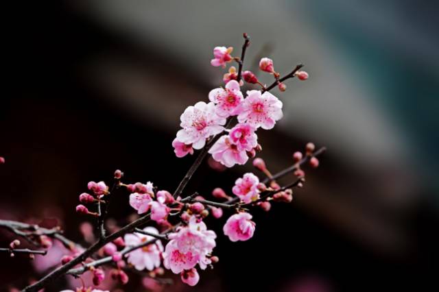 江西赣州冬天,赣州冬天周边旅游景点推荐