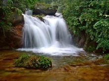 栾川养子沟15天天气预报,栾川县养子沟景区