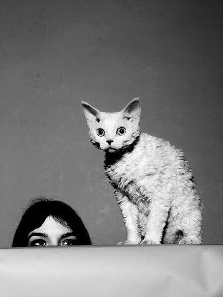 黑白照片的图,黑白图片两张