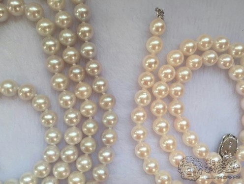 日本海水珍珠和akoya区别,akoya珍珠日本官网