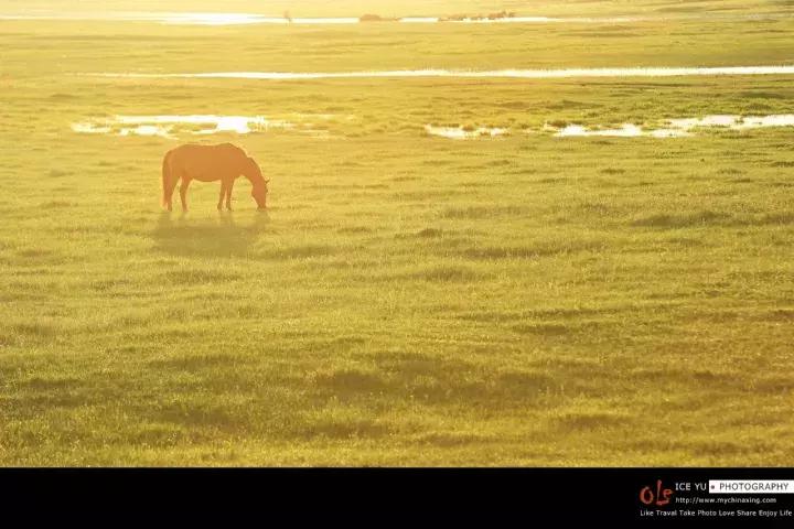 小马过河的故事在线听,《小马过河》这个故事告诉我们
