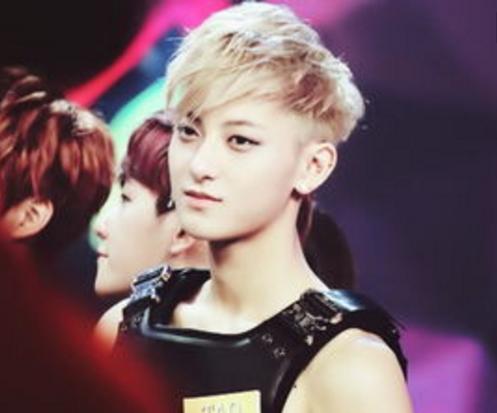 黄子韬gai张艺兴,黄子韬c-popking