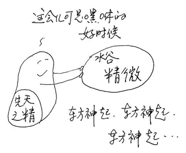 人体十二经络的对应时间表,人体各经络当令时间表