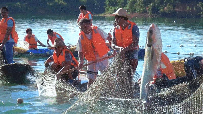 福利丨2017年的最后一个月，送你一场万绿湖双人豪华游