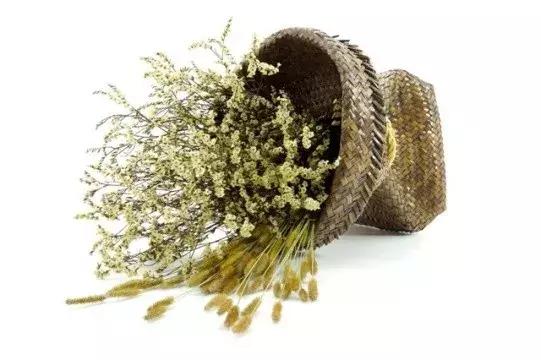 怎么把鲜花做成标本不会枯萎,透明树脂胶怎么制作鲜花标本