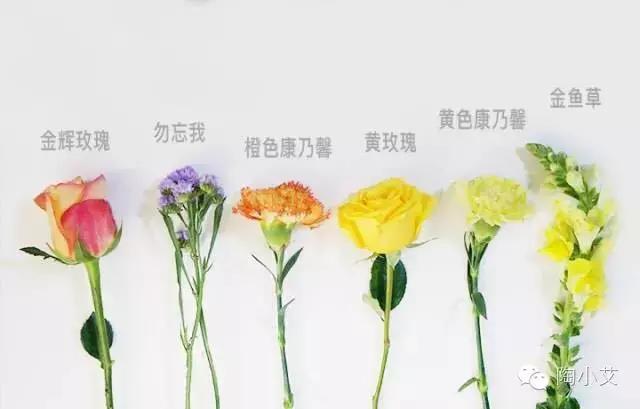 生活中盛开的花朵,关于花开花谢的绘本